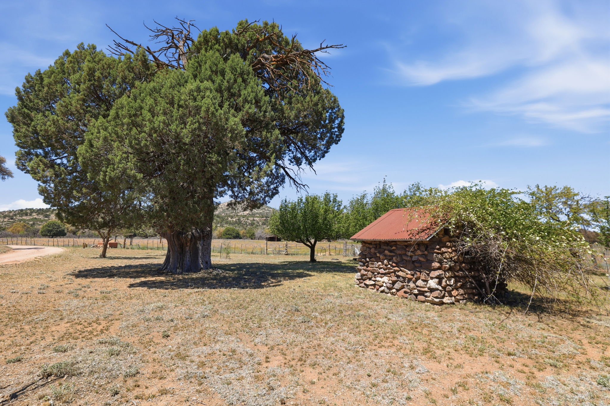 Juniper and Well House