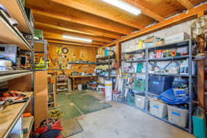 Workshop 1