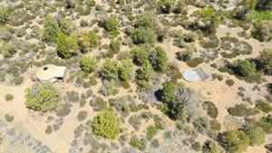 Yurt and Platform