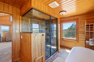 Primary Bathroom 2