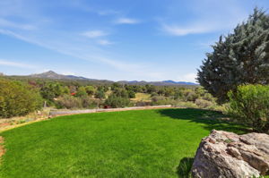 Front Yard 2