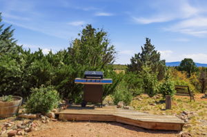 Front Yard 3