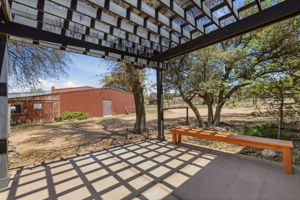 Back Patio 1