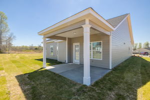  Photo 41