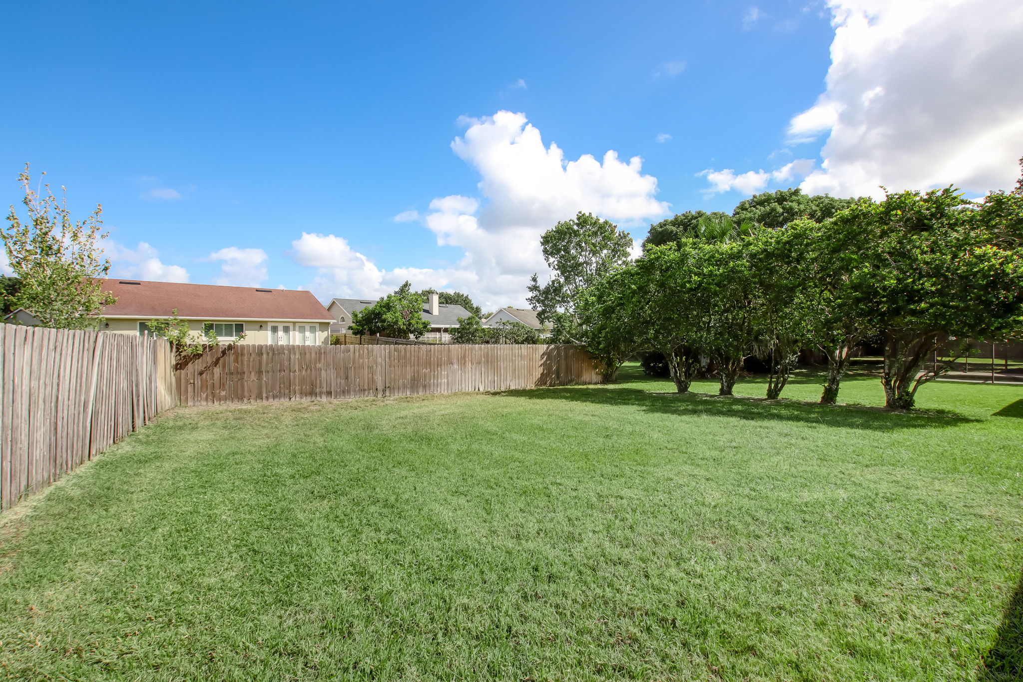 Backyard