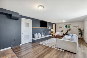 Family Room in Basement with second Fireplace