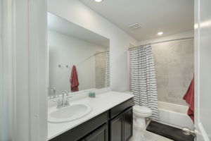 Hall Bathroom