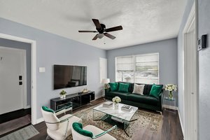 AR700346 virtually staged.jpg