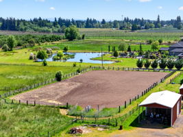  Photo 80