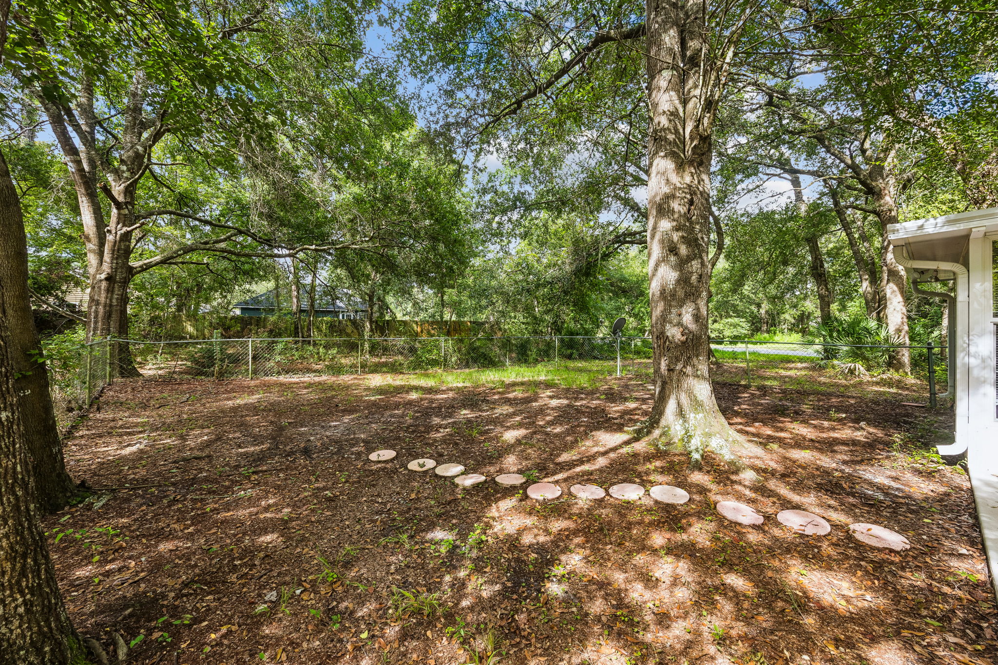Backyard
