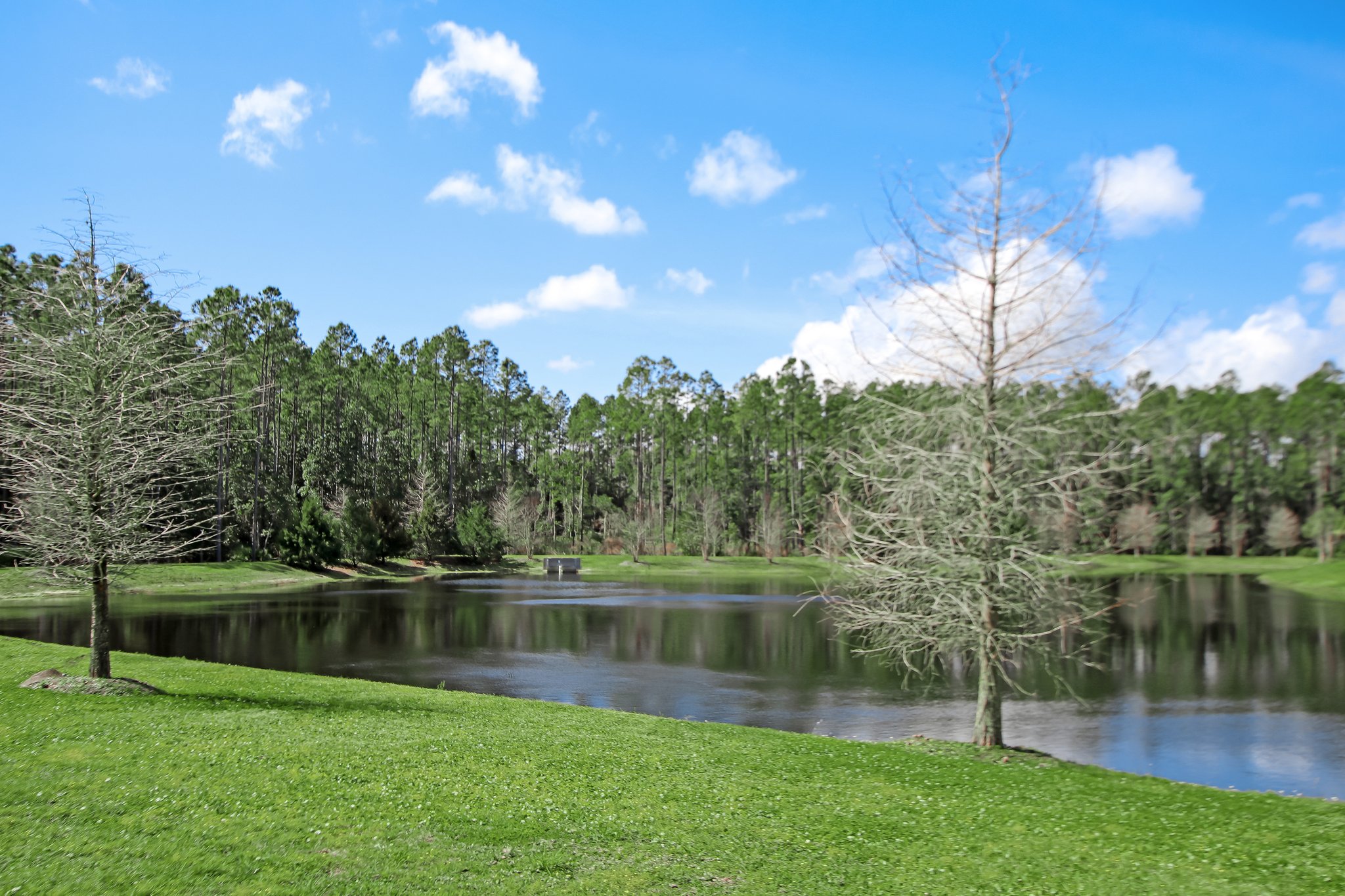 Creekside