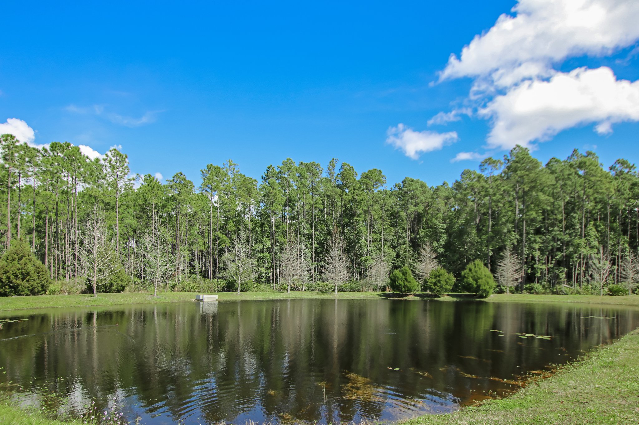Creekside