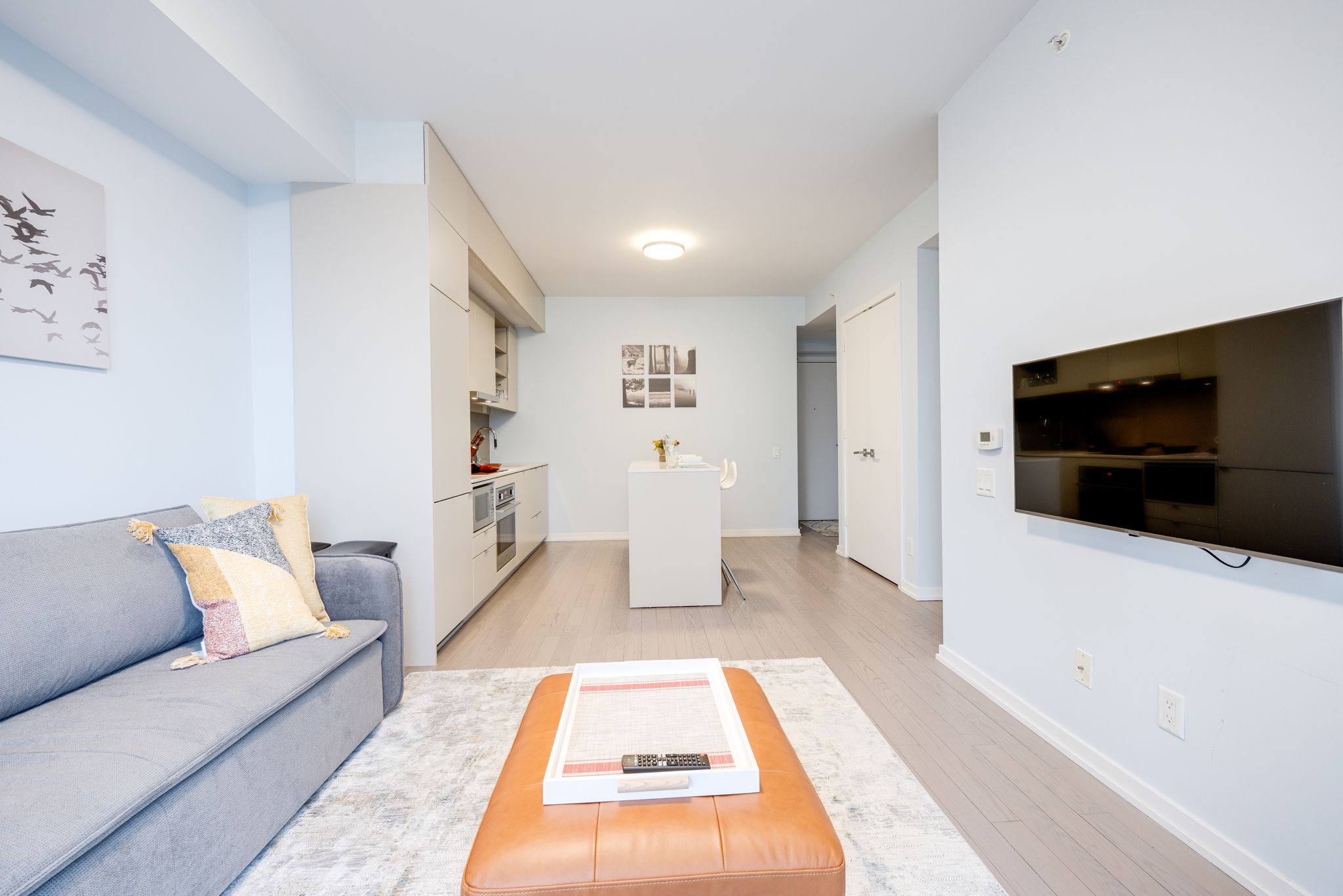 Toronto property showcase — delivered property photograph 7