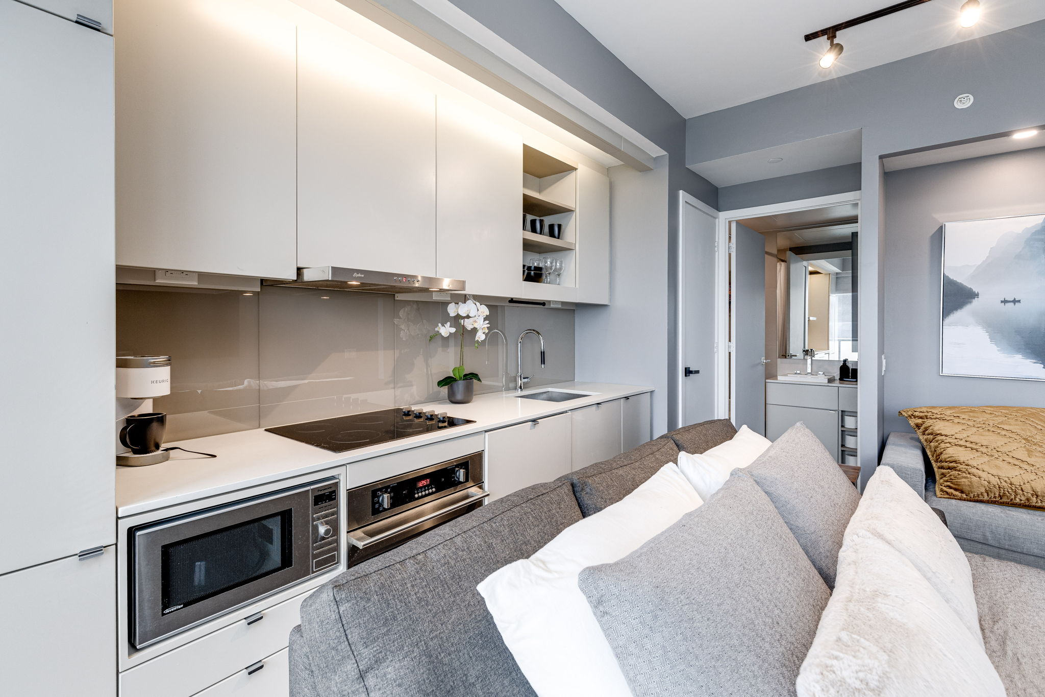 Toronto property showcase — delivered property photograph 6