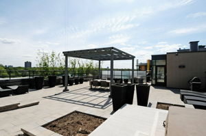 Building - Rooftop Terrace
