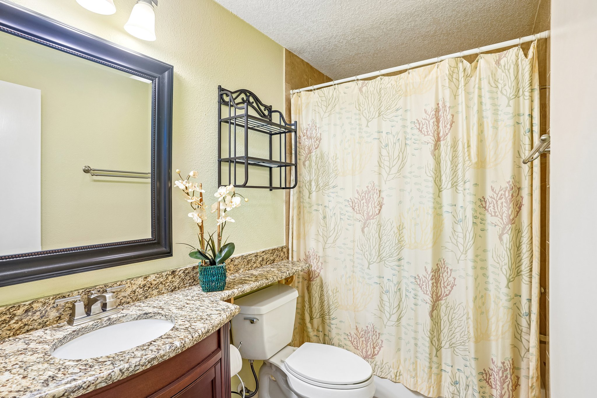 W Lemon St-S0810-026.jpg
