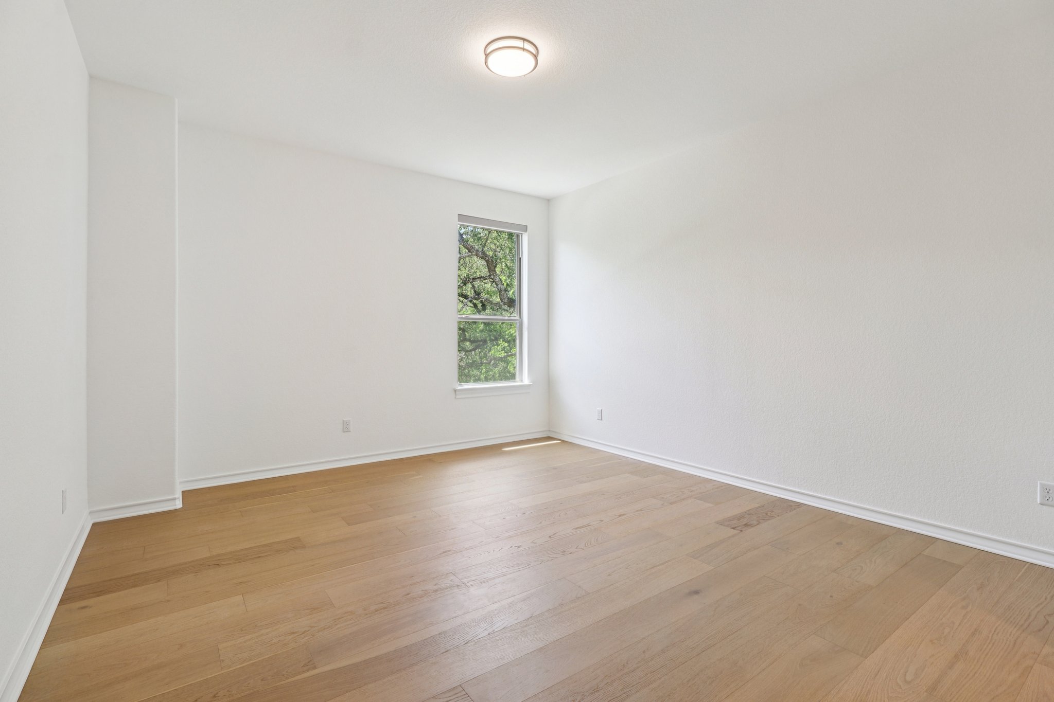 Wolf Rdg Rd-S0904-038.jpg