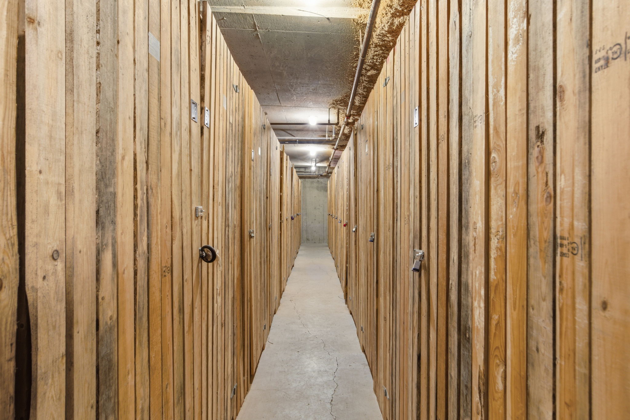  Photo 45