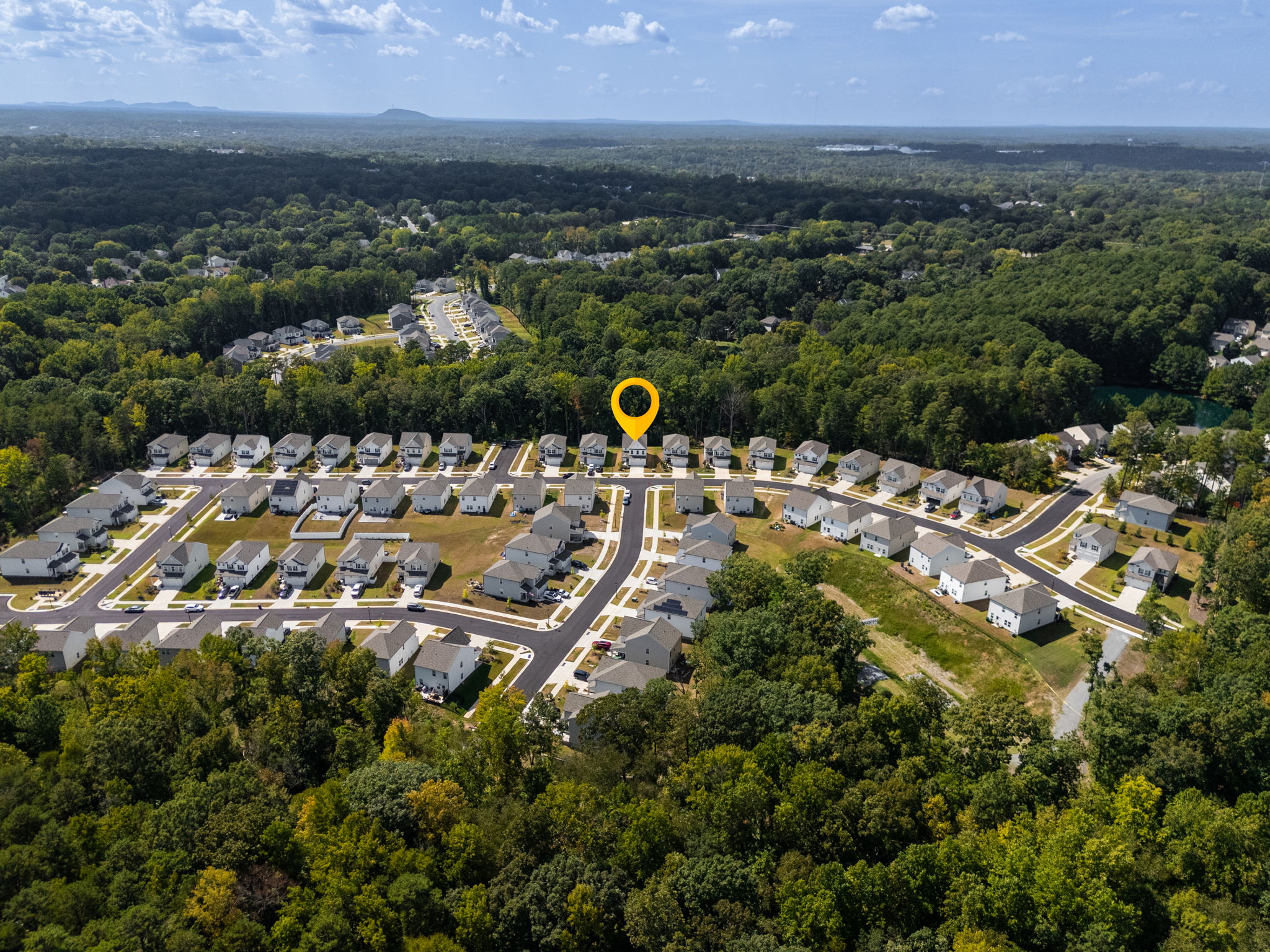 10100 Travcis Floyd Ln-36