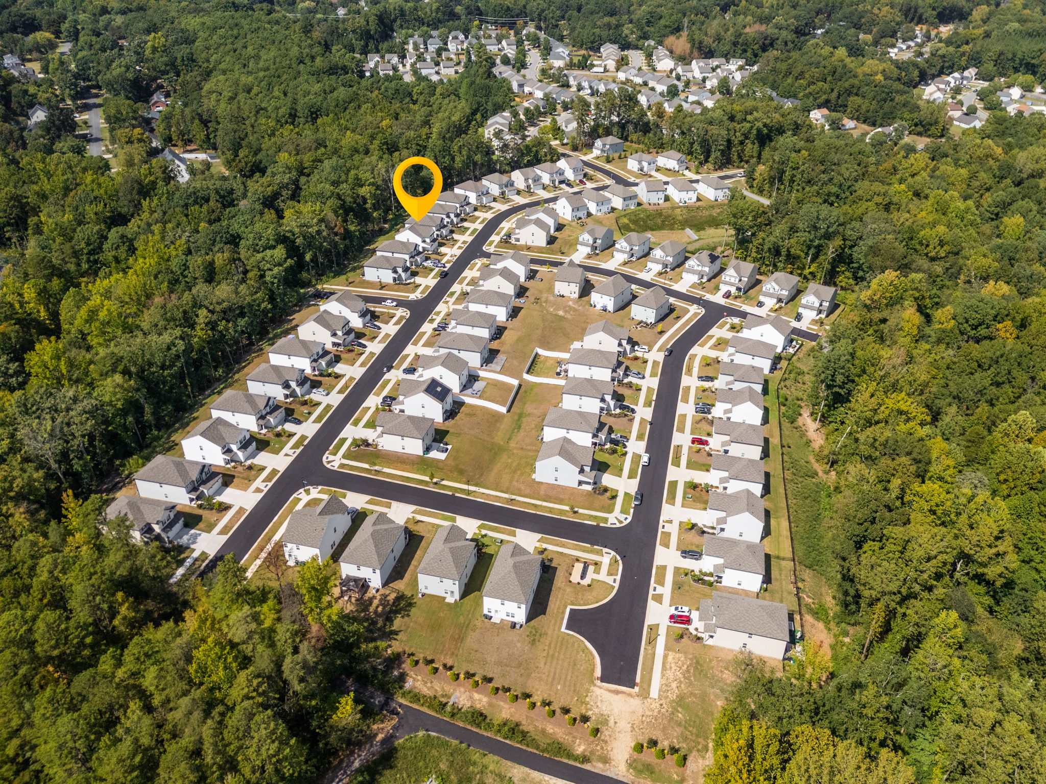 10100 Travcis Floyd Ln-38