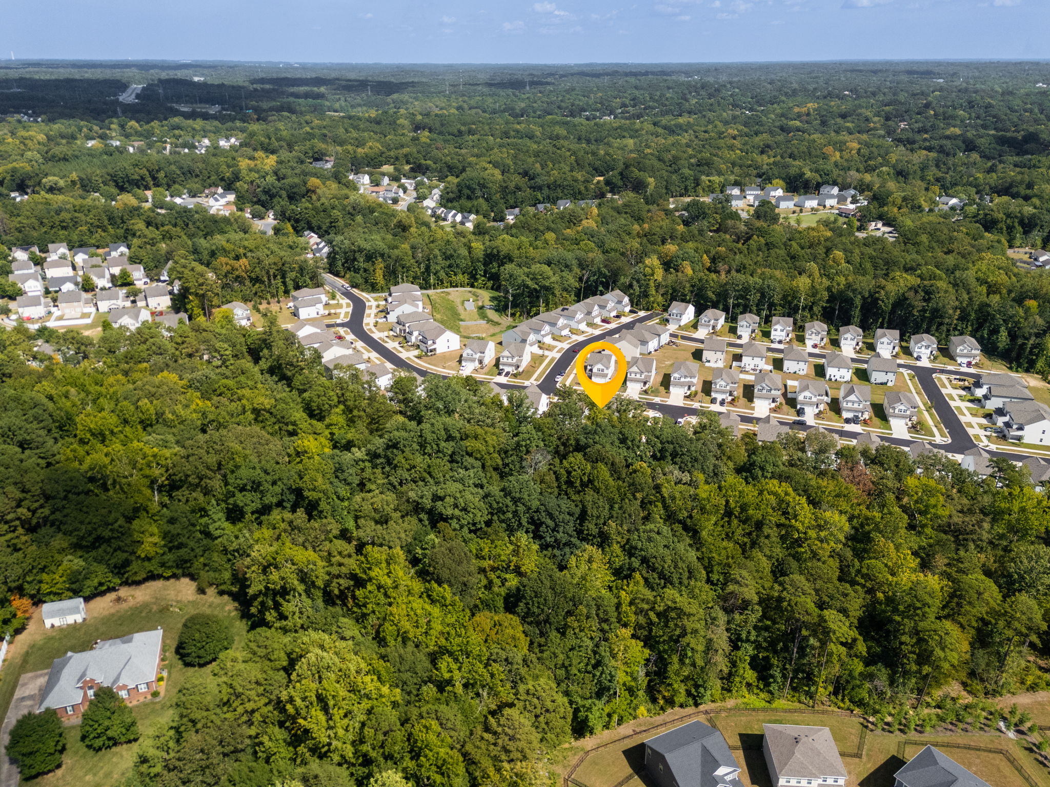 10100 Travcis Floyd Ln-39