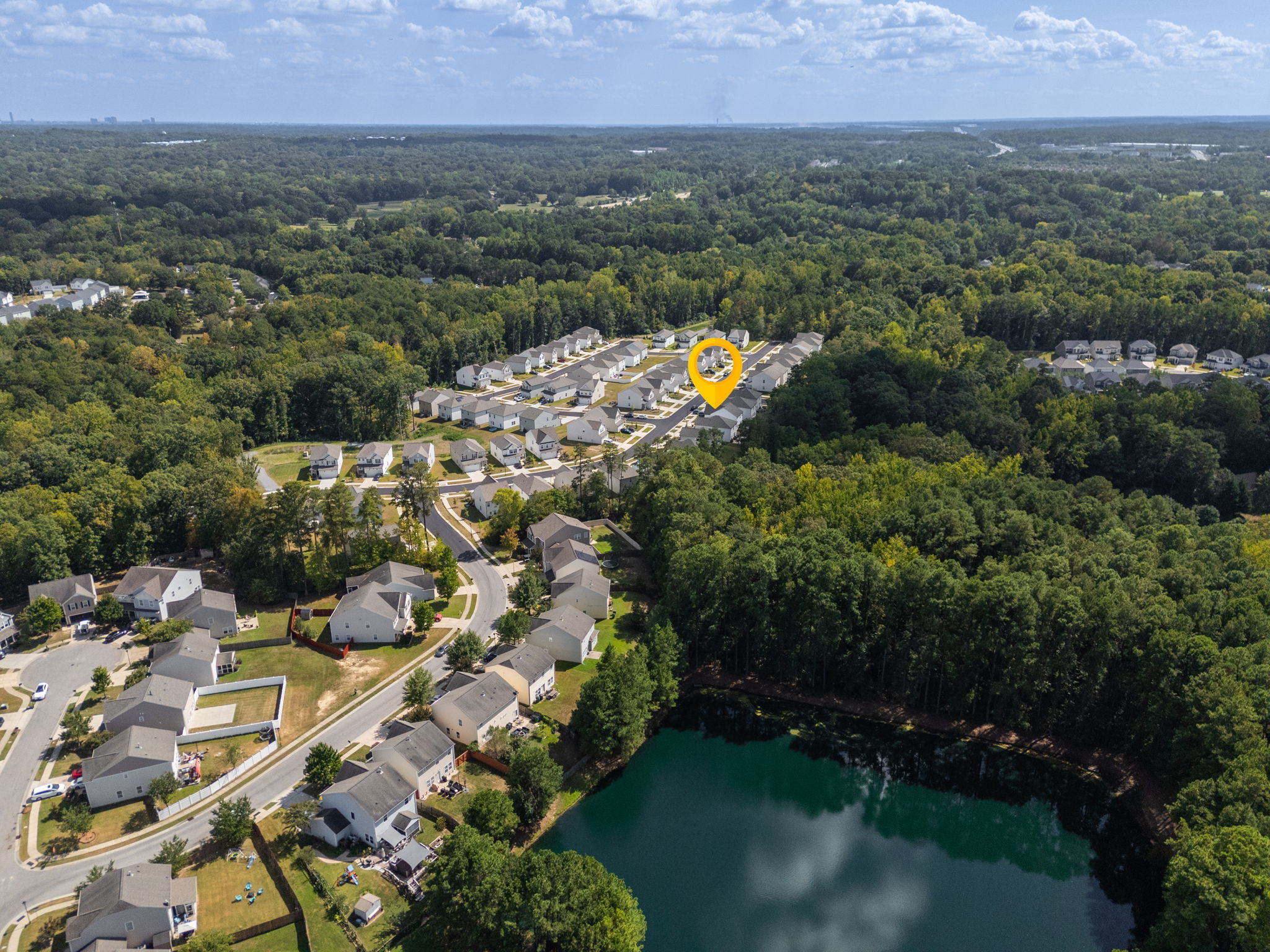10100 Travcis Floyd Ln-40