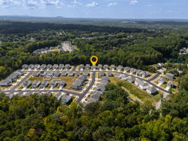 10100 Travcis Floyd Ln-36