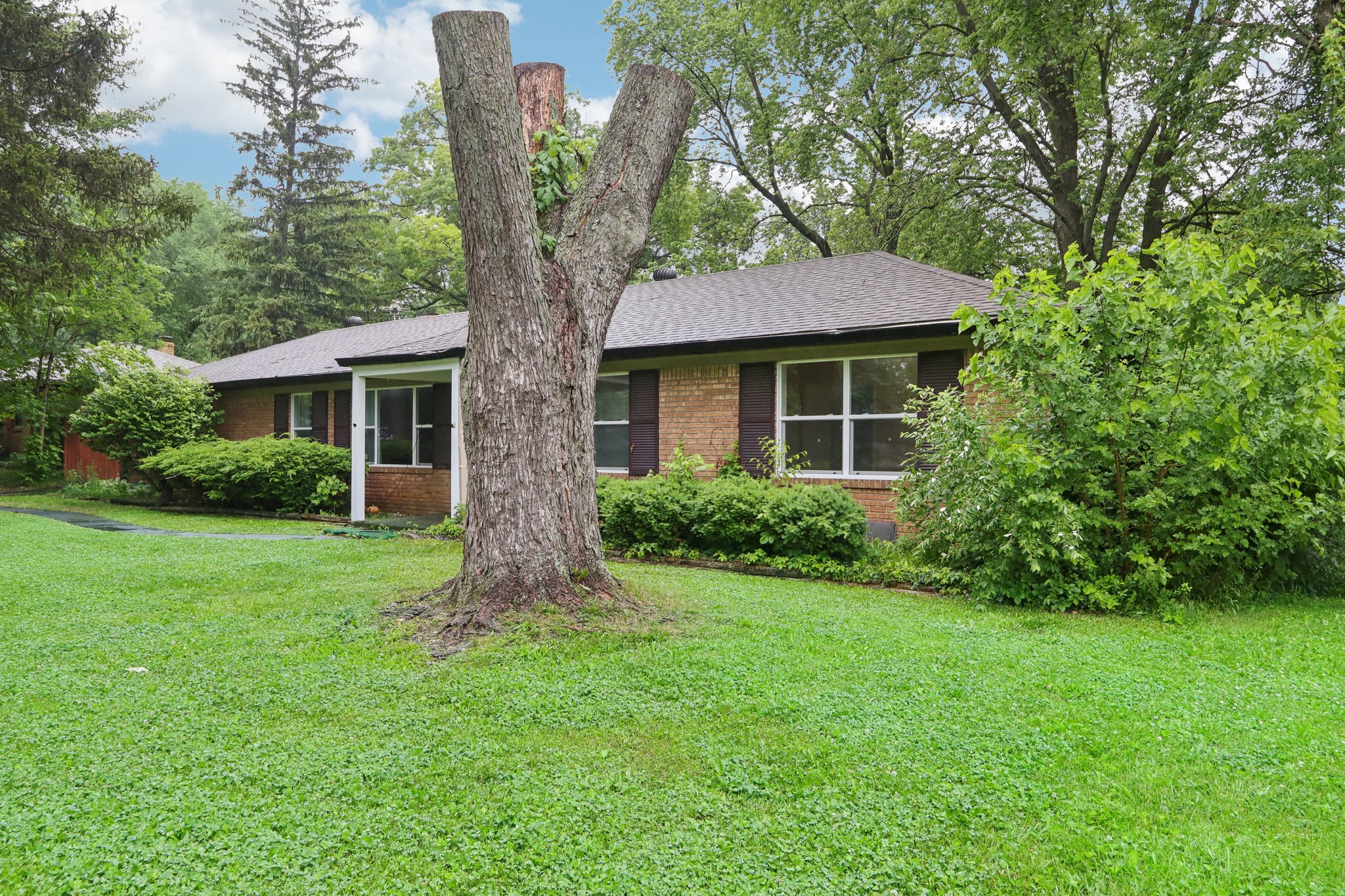 Carrollton Ave-003.jpg