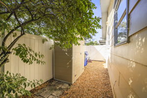Side Yard - 495A3593