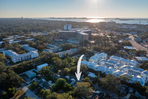 Back Drone - DJI_0135 ARROW UPDATED