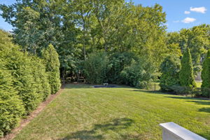  Photo 132