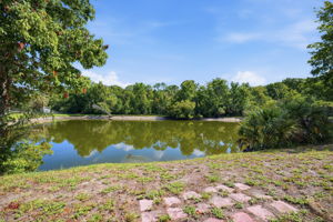  Photo 39