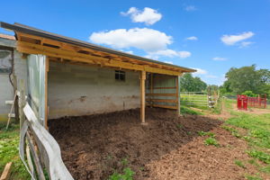  Photo 47