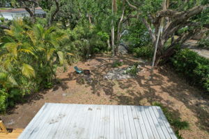  Photo 50