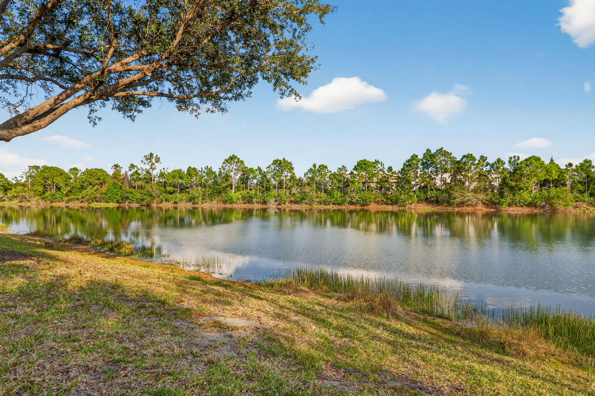 Rear Exterior 4 of 7