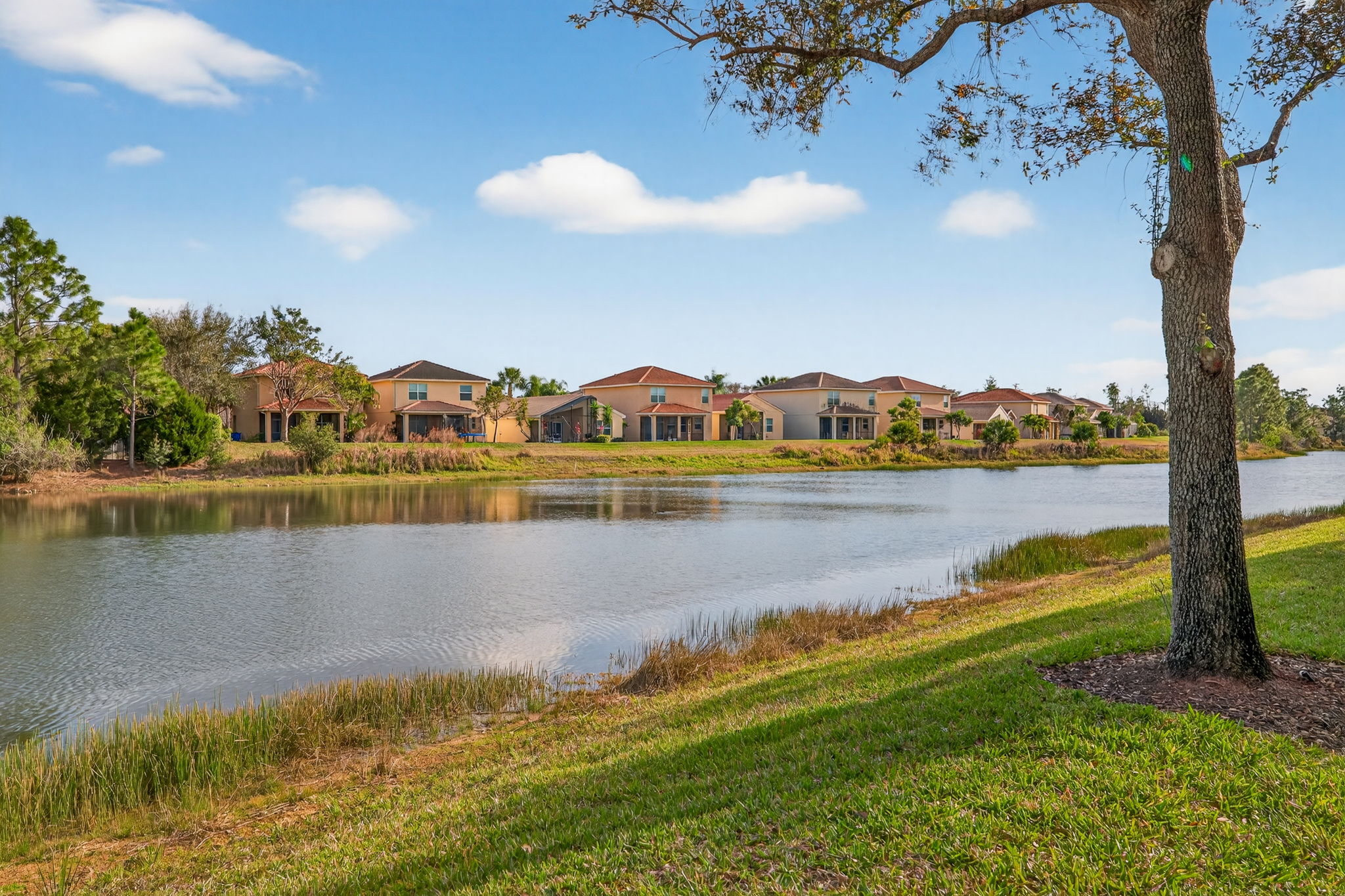 Rear Exterior 5 of 7