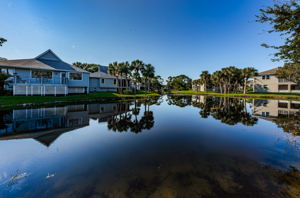 Water View1