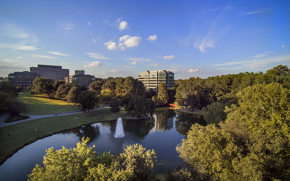 Lenox Park is an oasis in the city--walking distance from the house!