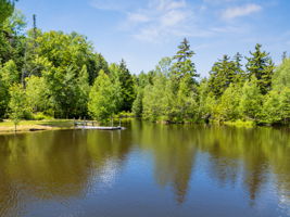  Photo 47