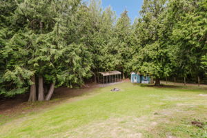  Photo 49