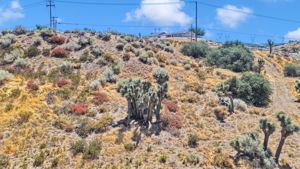  Photo 7