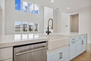 Farmhouse Sink