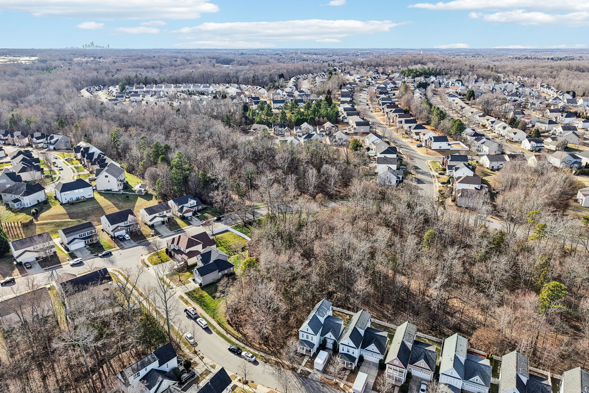 Caldwell Forest Dr-S1202-047.jpg