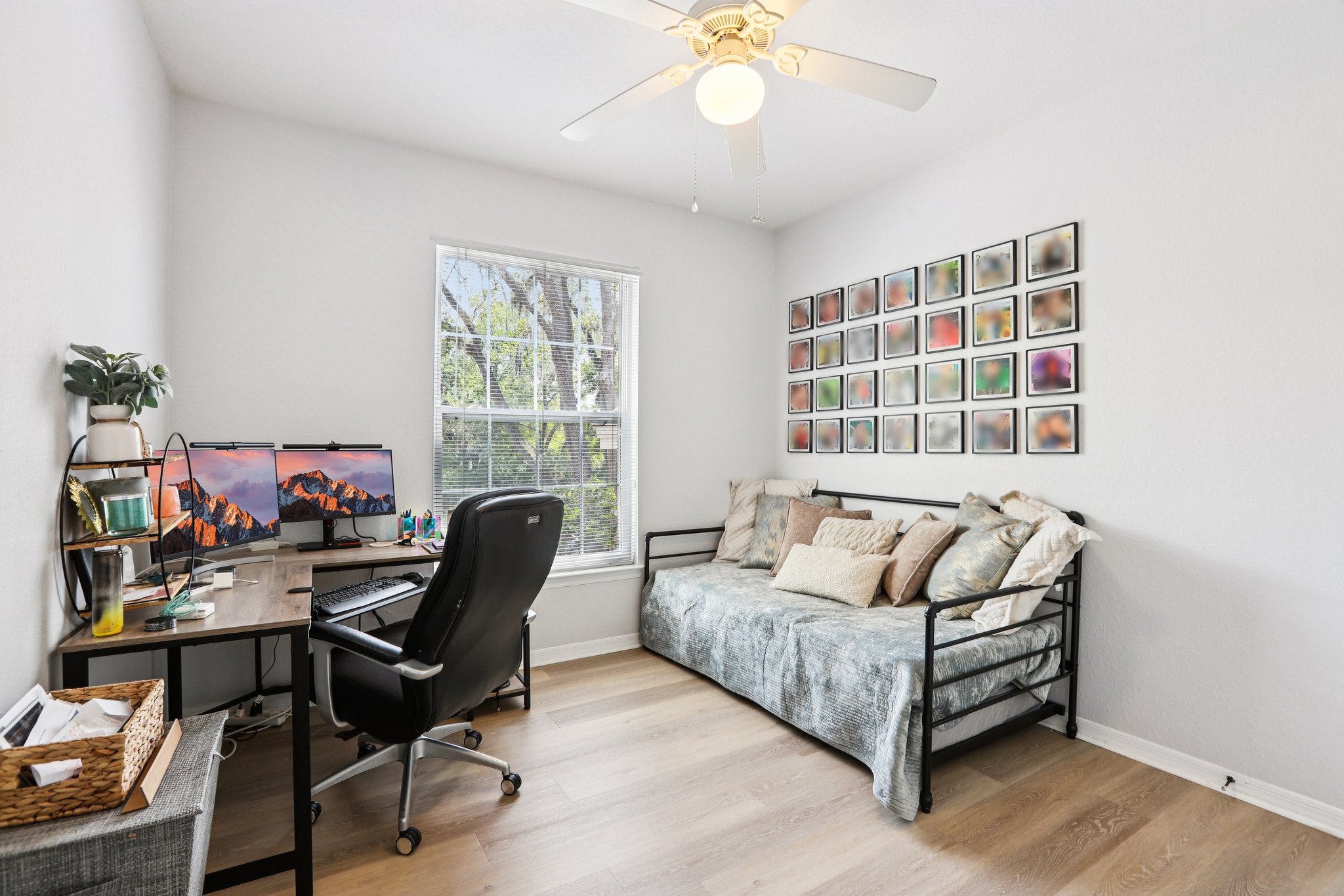 Courtney Palms Blvd-S2503-031.jpg