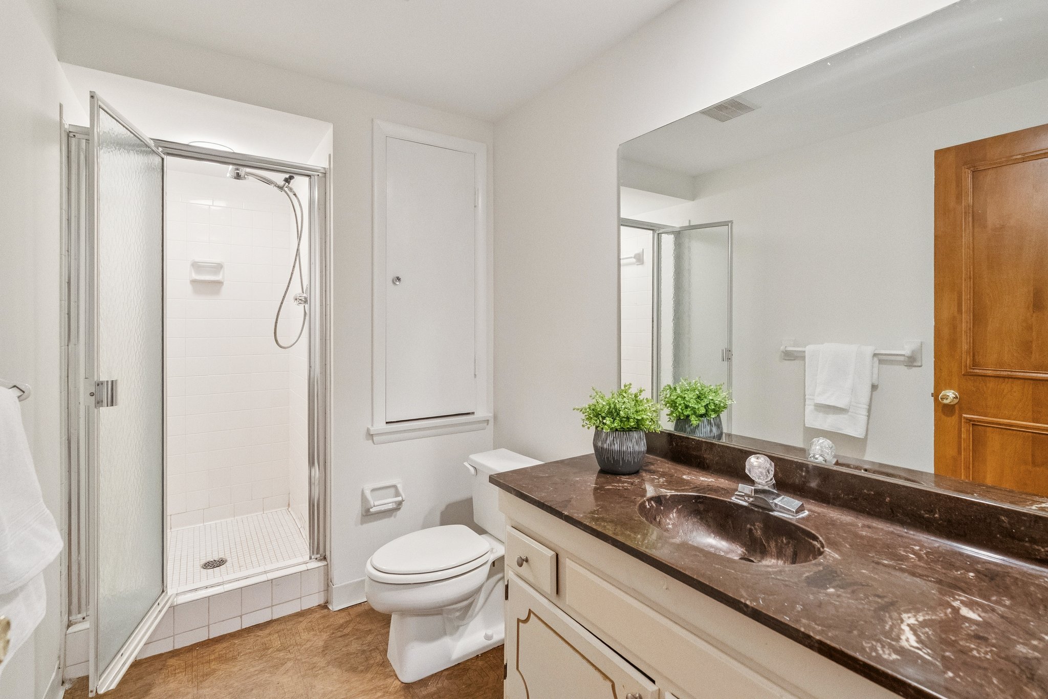 Lower Level Bathroom