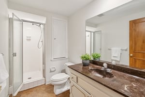 Lower Level Bathroom