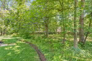 Rear Yard