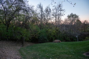  Photo 49