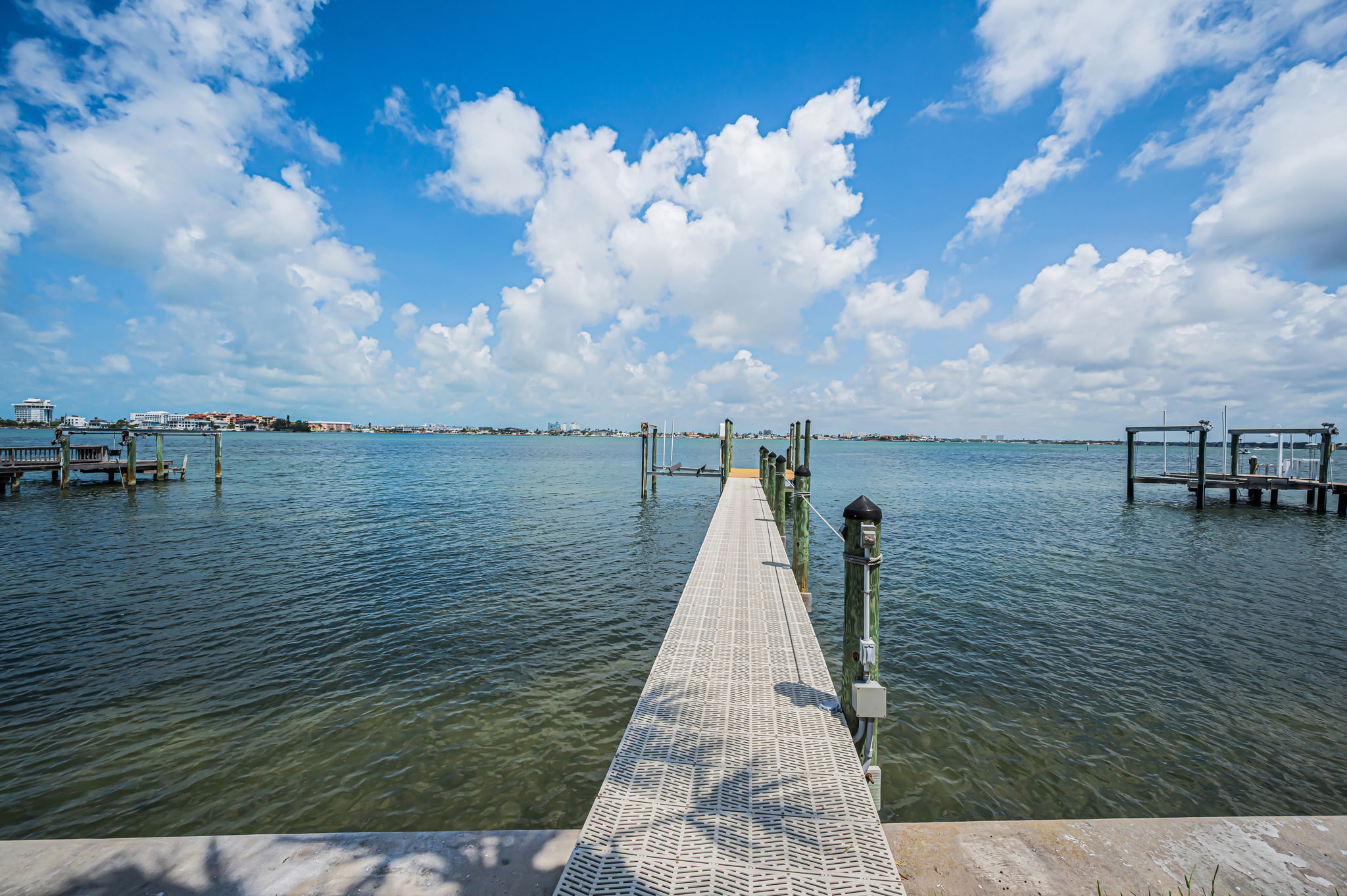 Dock1