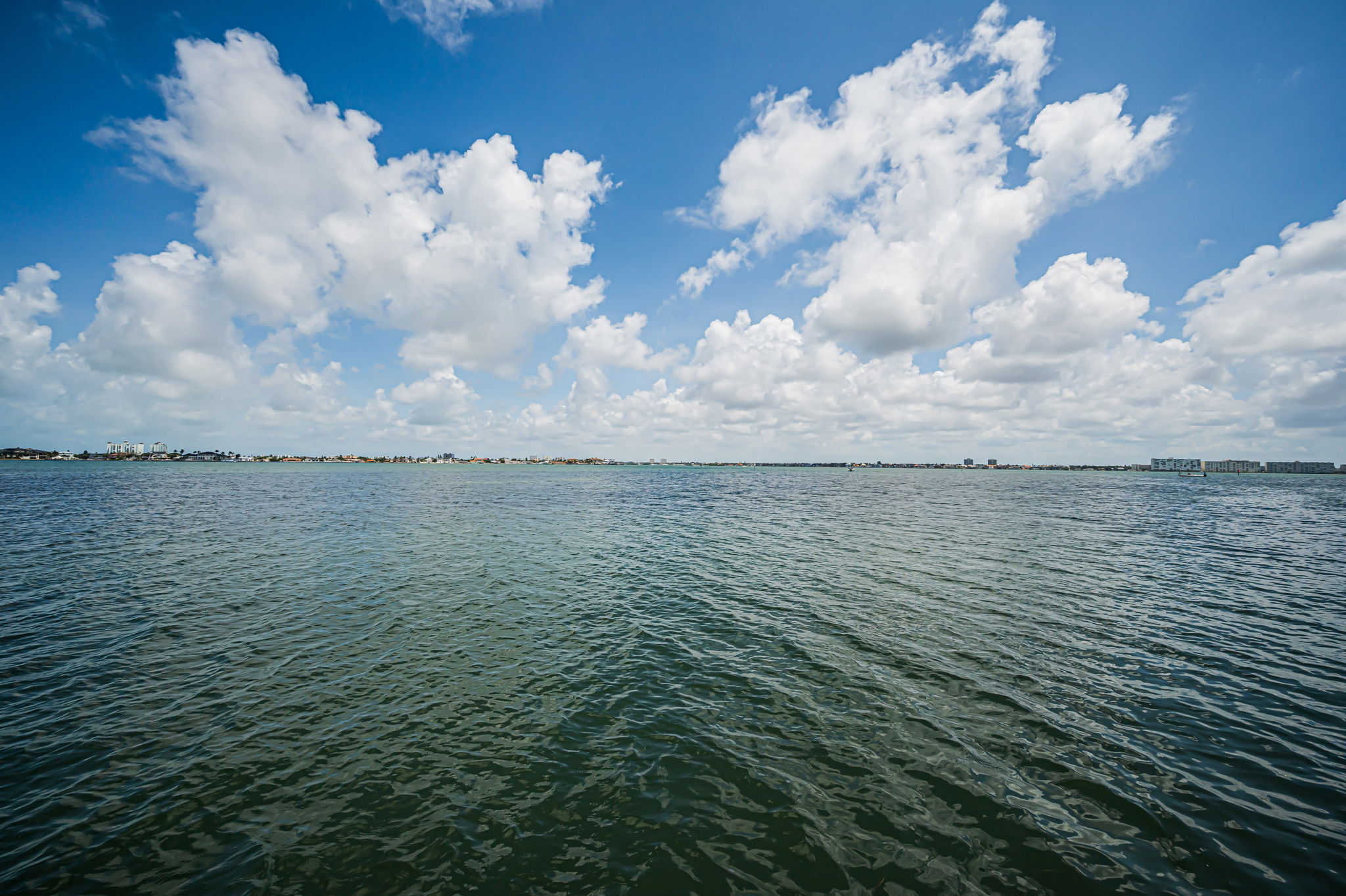 Dock7 View